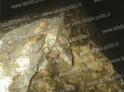 04_Testata lignea